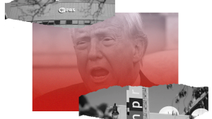 Ex-NPR Chief Says Public Media Could Have Better Prepared for a Trump Gutting