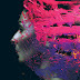 Se anuncia el lanzamiento del 10.º aniversario del legendario cuarto álbum de STEVEN WILSON “HAND. CANNOT. ERASE.” a través del sello TRANSMISSION (15 de agosto de 2025)