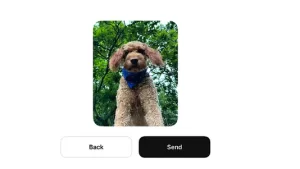 Threads Adds Image Sharing in DMs