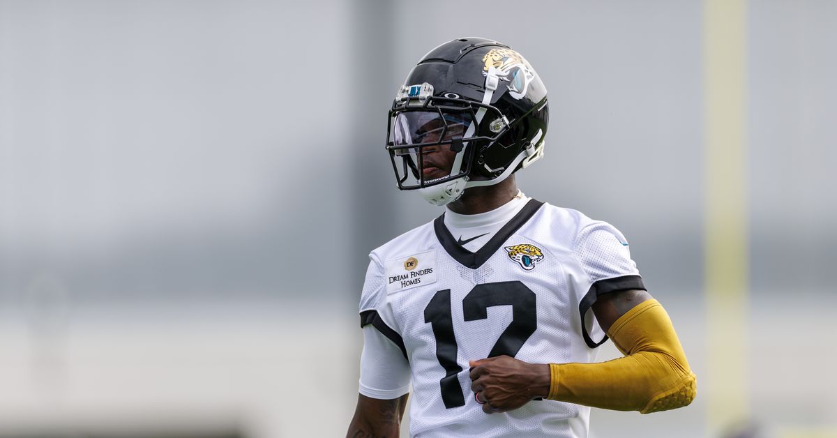 We have NFL questions, and training camp should finally bring us some answers