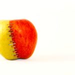 Gene editing: Feeding the future or fuelling controversy?