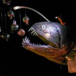 Touch the Deep Ocean: A Fascinating Multimedia Exhibition