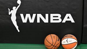 Fan accused of sex toy toss faces multiple charges