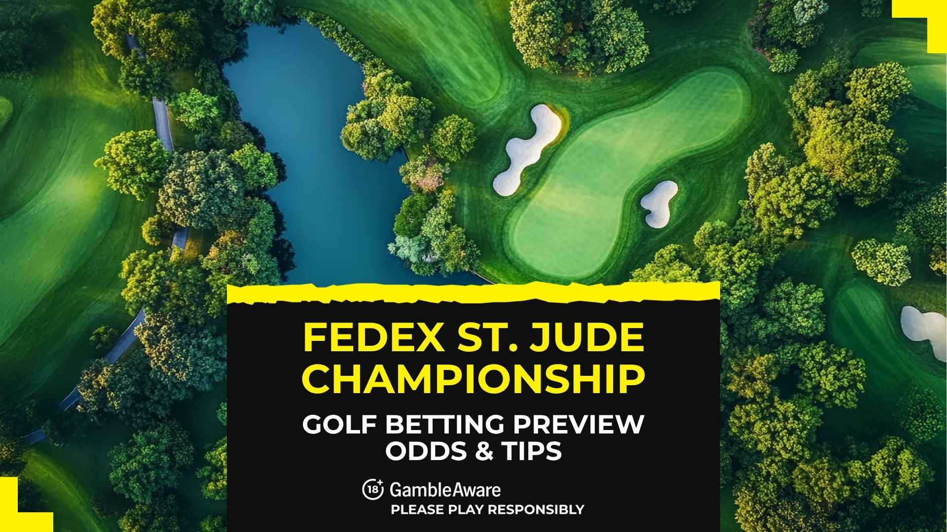 FedEx St. Jude Championship 2025 betting preview: odds, predictions and tips