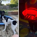 27 Things To Help Tire Out Your Kids And/Or Pets While Spending Time Outdoors