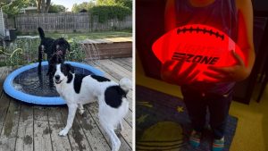 27 Things To Help Tire Out Your Kids And/Or Pets While Spending Time Outdoors