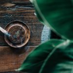 What Exactly Is Palo Santo, and How Should You Use It?