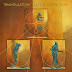 STEVE MORSE BAND anuncian nuevo álbum “TRIANGULATION” para el 14 de noviembre a través de MUSIC THEORIES RECORDINGS
