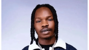 Naira Marley ‘attacked’ on stage in Cotonou over Mohbad’s death