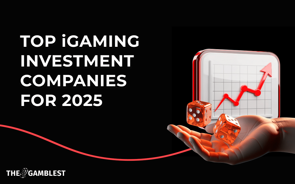 Top iGaming Investment Companies for 2025: How to Choose iGaming Investors