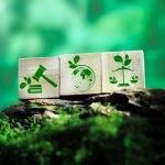 EUDR: How companies can ensure Indigenous rights are protected
