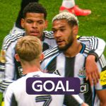 Newcastle vs Bradford: Joelinton opens the scoring for The Magpies