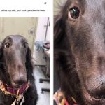 18 Women Who Tweeted The Most Hilariously Inappropriate Things This Month, And I’m Still Recovering From Belly Laughs