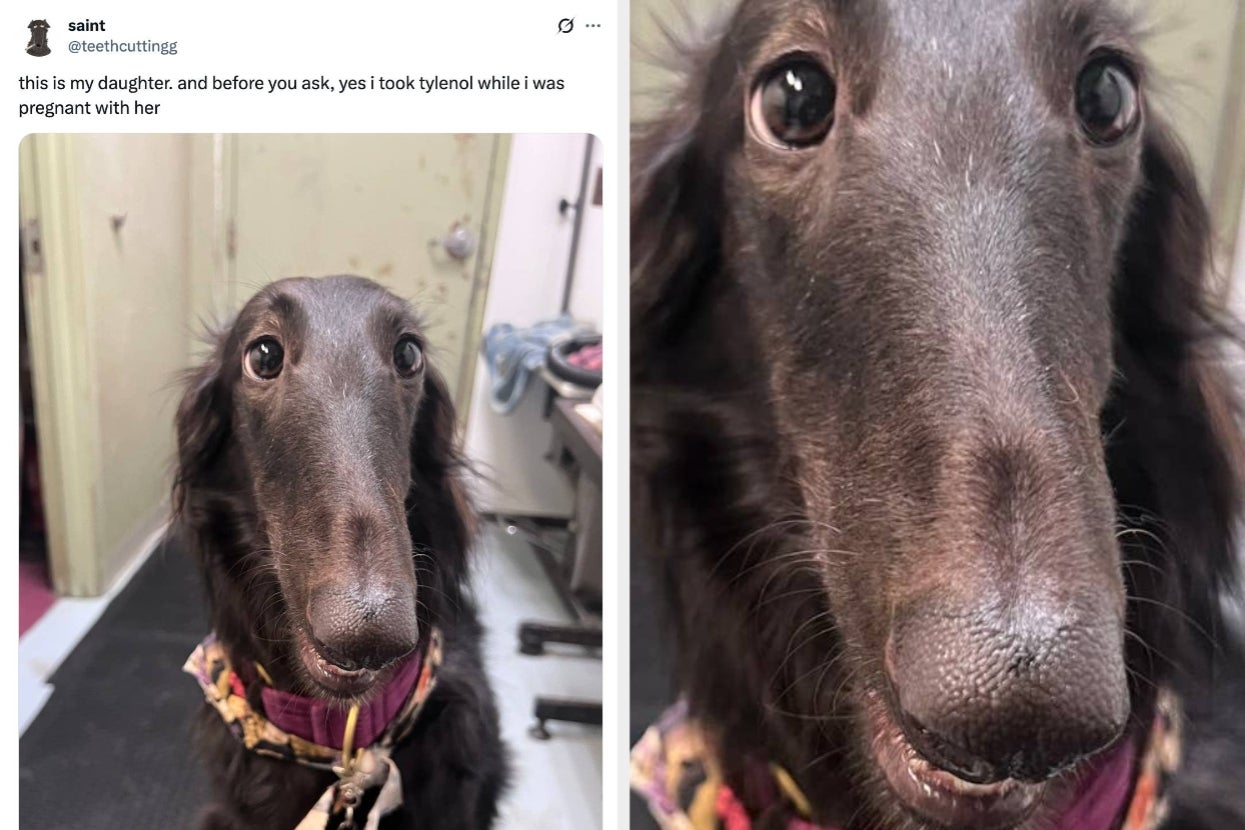 18 Women Who Tweeted The Most Hilariously Inappropriate Things This Month, And I’m Still Recovering From Belly Laughs