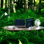 Are IT problems really to blame for EUDR delay?
