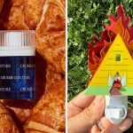 38 TikTok Products For People Who Want The Best Recs Of The App, But Don’t Want To Scroll For It