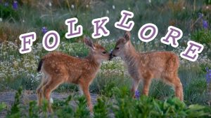 Choose Your Favorite Animals And I’ll Guess Your Favorite Taylor Swift Era