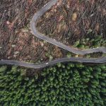 Combatting deforestation with cash: How financing is helping producers prepare for the EUDR