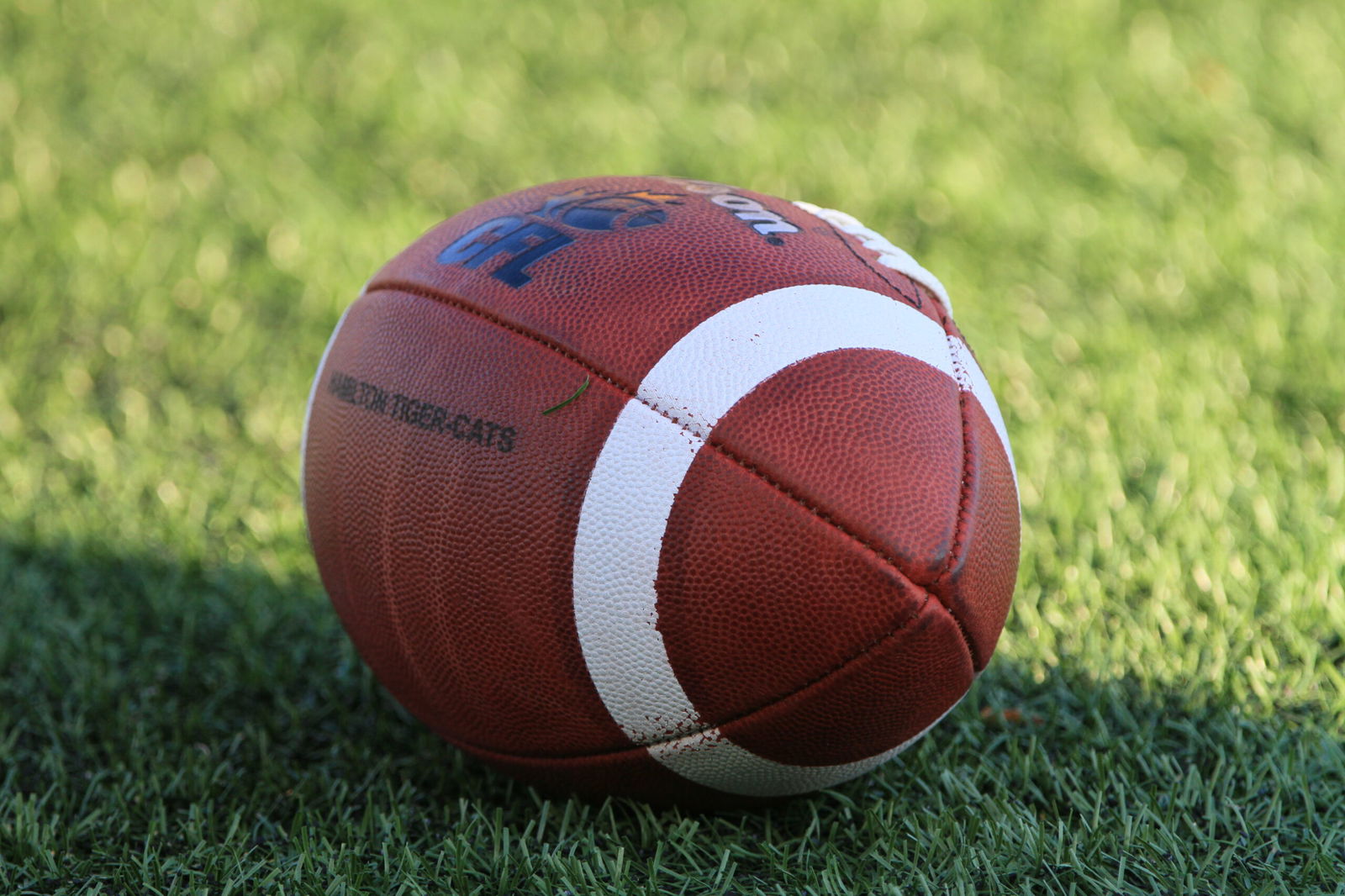 Duke Ellingson: incoming CFL rule changes questionable at best