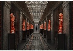 Two Restaurants at Four Seasons Hotel Beijing Recognized in Michelin Guide for Seventh Consecutive Year