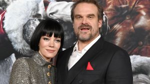 Lily Allen and David Harbour: A Complete Breakup Timeline