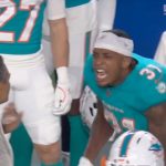 Miami Dolphins star blows up on sideline and goes after coach following egregious call