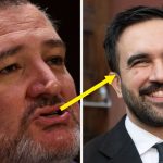 People Are NOT Into Ted Cruz’s Recent Tweet About Zohran Mamdani