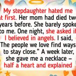 25 Stories Where Kindness Stood Like Armor in a Cruel World