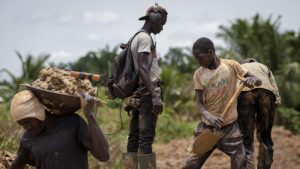 Empower chiefs, youth with Incentives to win galamsey battle – Centre for Climate Change and Food Security