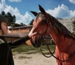 You Had Your Fun with Umamusume, Now It’s Time to Get Serious with Champions Stable